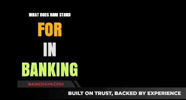 Understanding BAM in Banking: Meaning, Importance, and Applications Explained