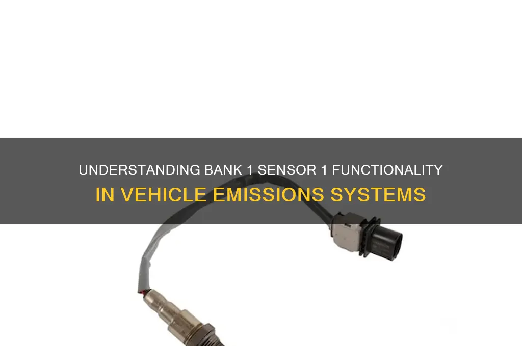 what does bank 1 sensor 1 do