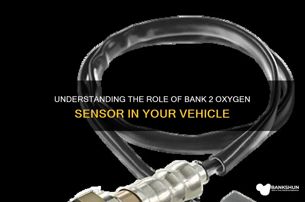 what does bank 2 oxygen sensor do