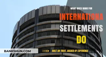 Understanding the Role and Functions of the Bank for International Settlements