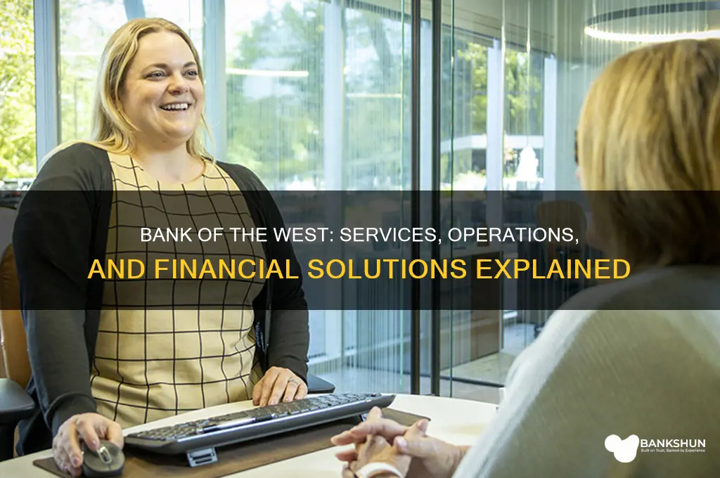 what does bank of the west do