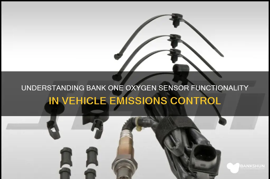 what does bank one oxygen sensor do