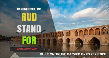 Understanding Bank Term RUD: Meaning, Importance, and Practical Applications