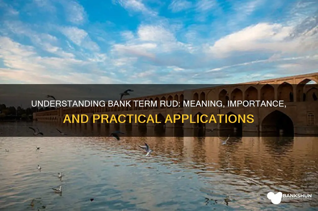 what does bank term rud stand for