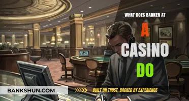 Casino Banker's Role: Managing Chips, Payouts, and Table Operations