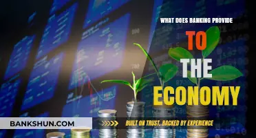 Banking's Role: Economic Growth, Stability, and Financial Services Explained