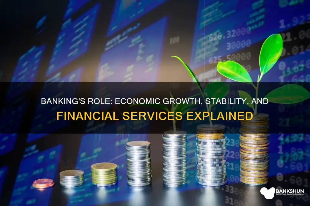 what does banking provide to the economy