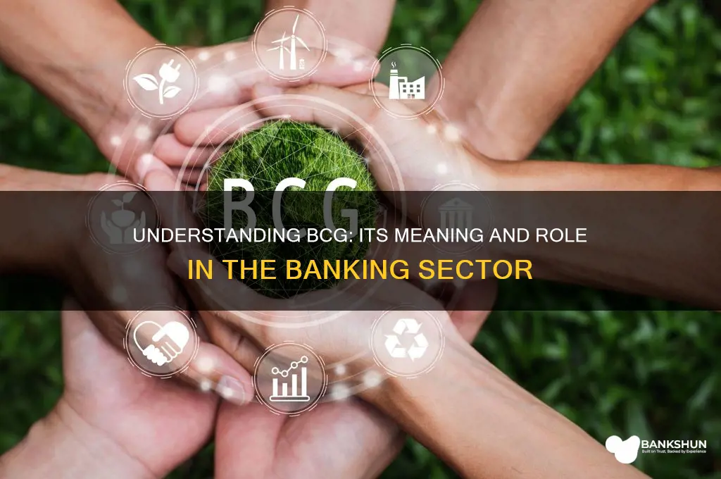 what does bcg stand for in banking