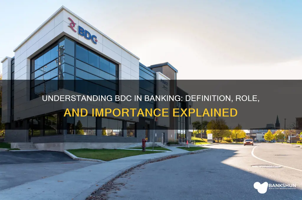 what does bdc stand for in banking