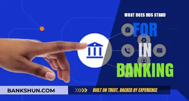 Understanding BDS in Banking: Meaning, Importance, and Applications Explained