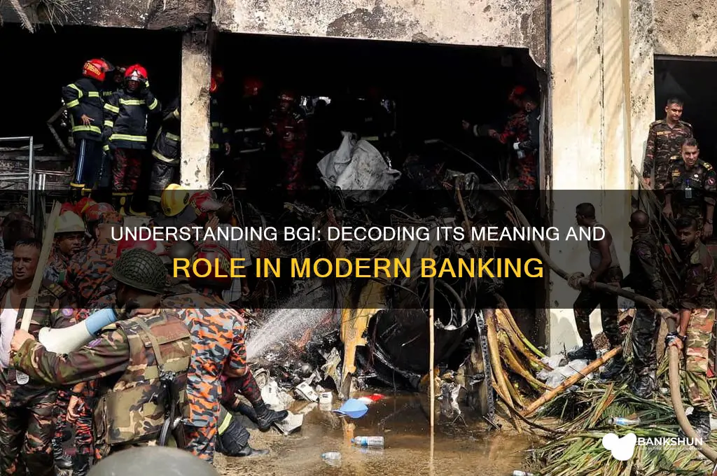 what does bgi stand for in banking