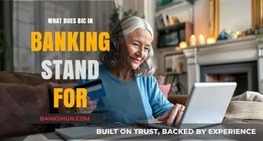 Understanding BIC in Banking: Definition, Purpose, and Importance Explained