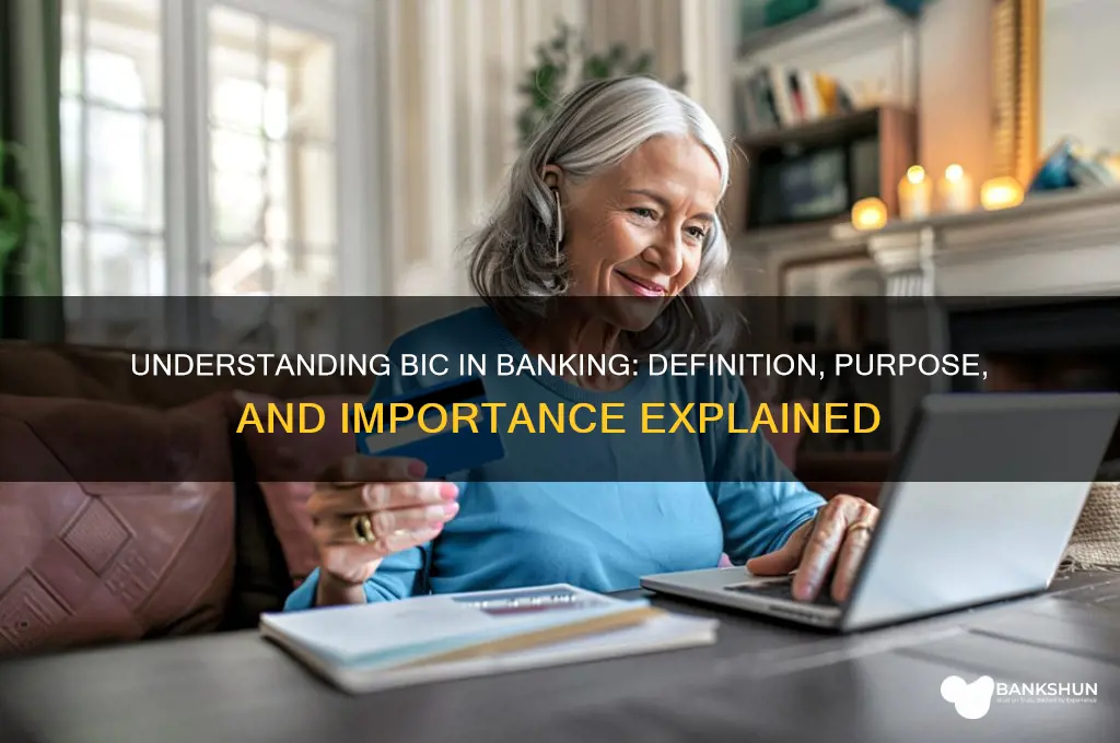 what does bic in banking stand for