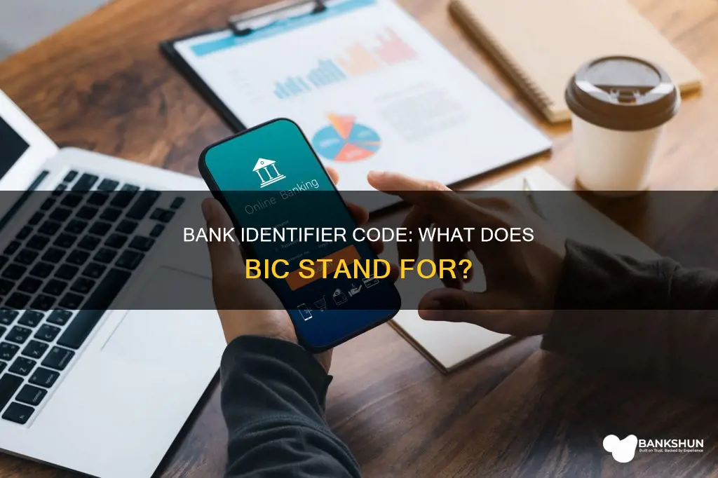 what does bic stand for in banking