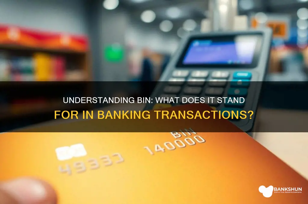 what does bin stand for in banking