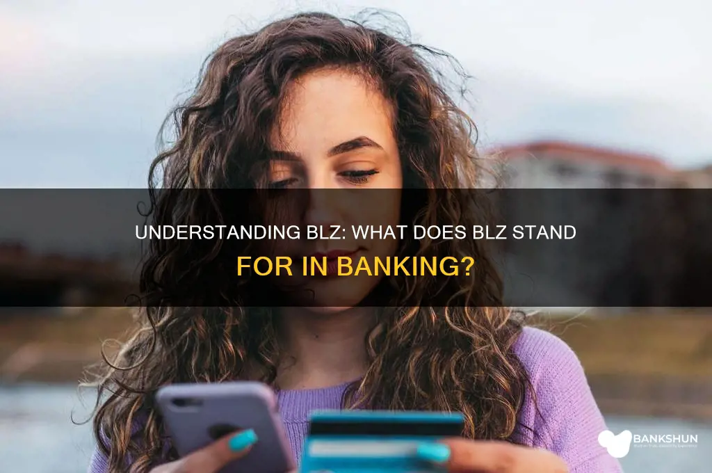 what does blz stand for in banking