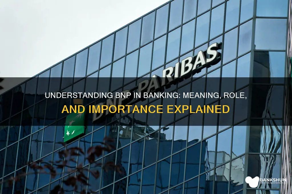 what does bnp stand for in banking