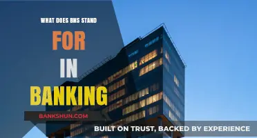 Understanding BNS: Decoding the Banking Acronym and Its Significance