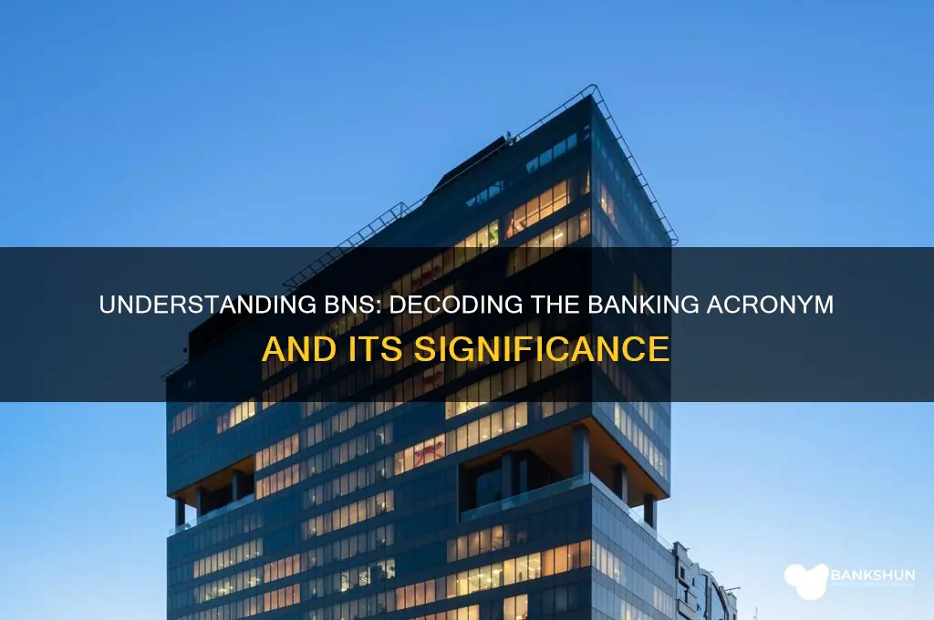 what does bns stand for in banking