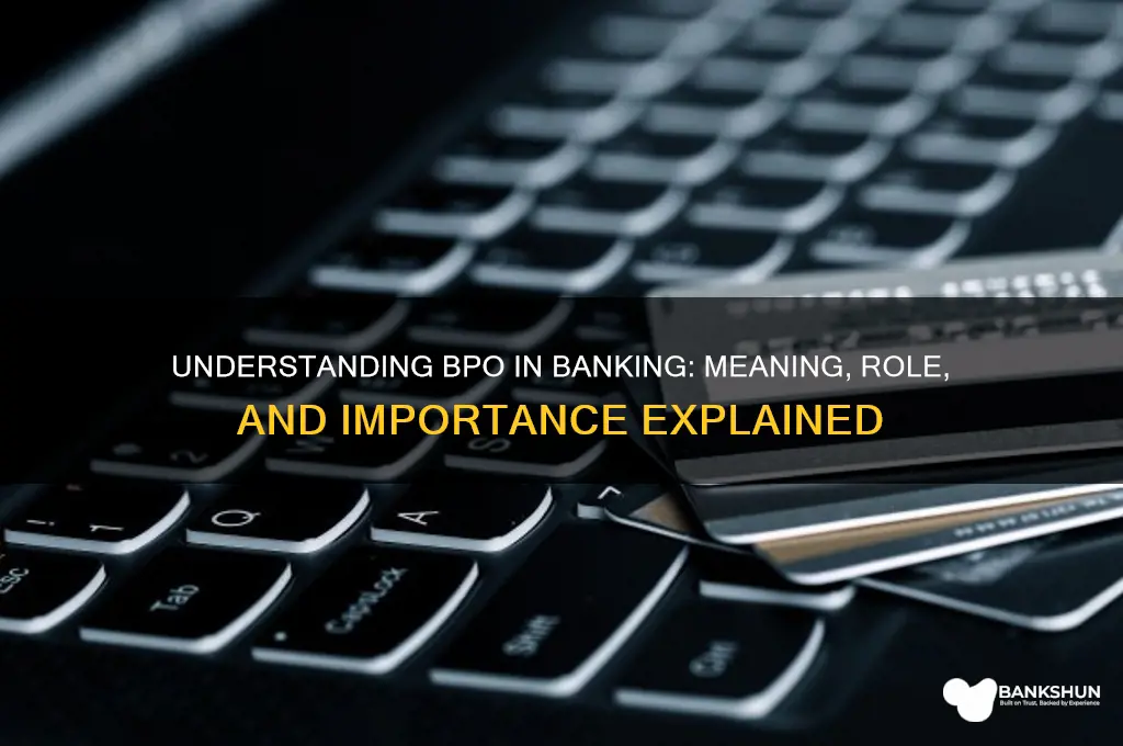 what does bpo stand for in banking