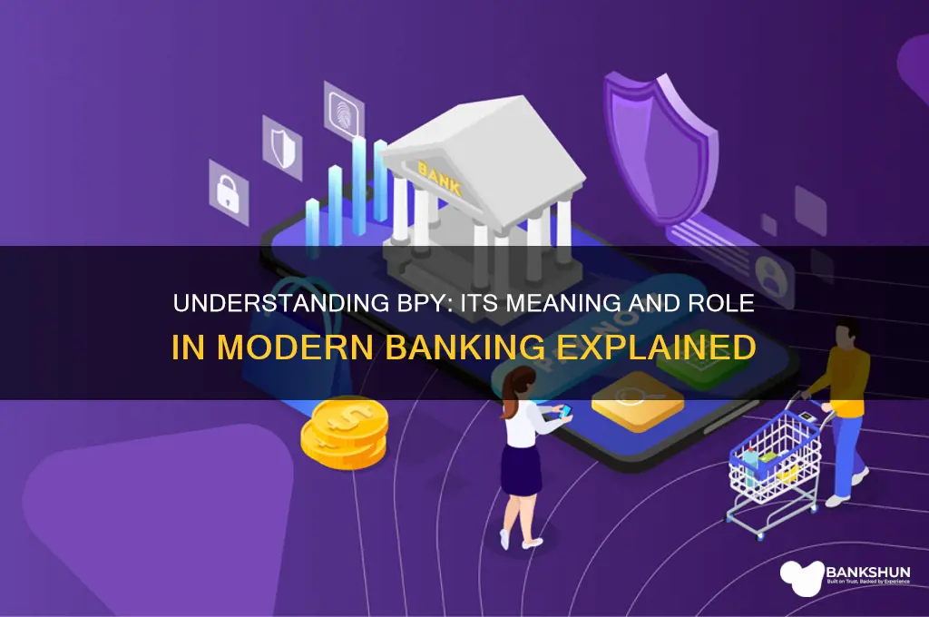 what does bpy stand for in banking
