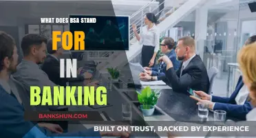BSA in Banking: What Does It Mean?