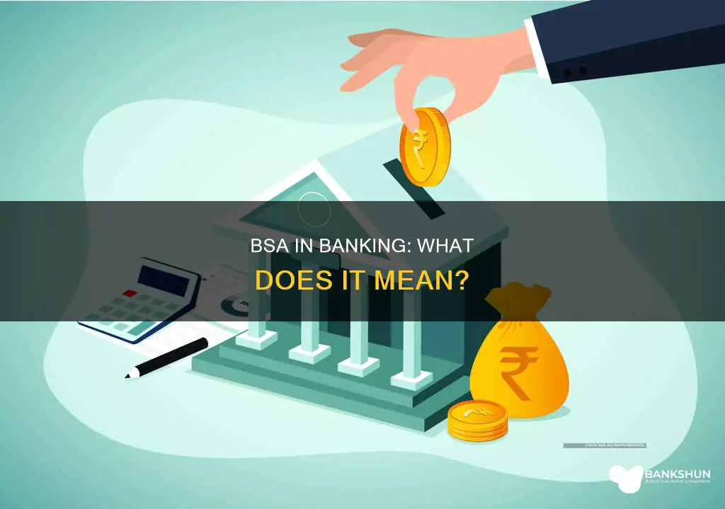 what does bsa stand for in banking