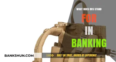 Understanding BVS in Banking: Meaning, Importance, and Applications Explained