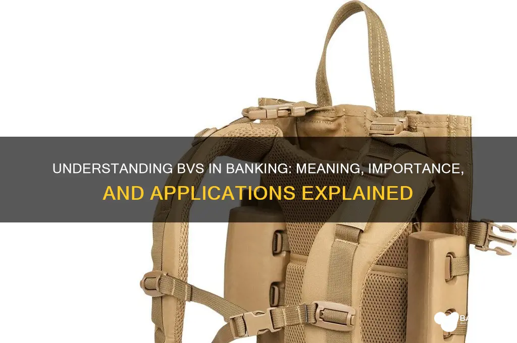 what does bvs stand for in banking