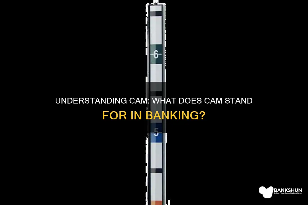 what does cam stand for in banking
