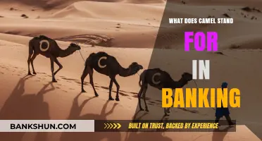 Understanding CAMEL: Key Banking Acronym for Financial Stability Assessment