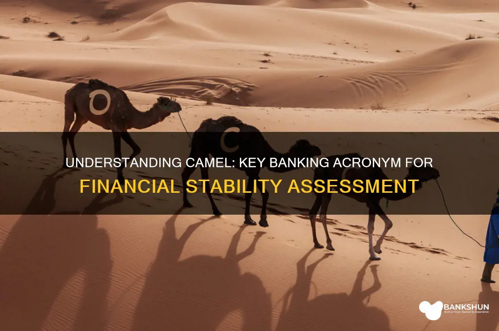 what does camel stand for in banking