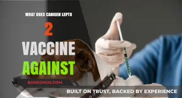 Canigen Lepto 2 Vaccine: Protecting Dogs Against Leptospirosis Infections