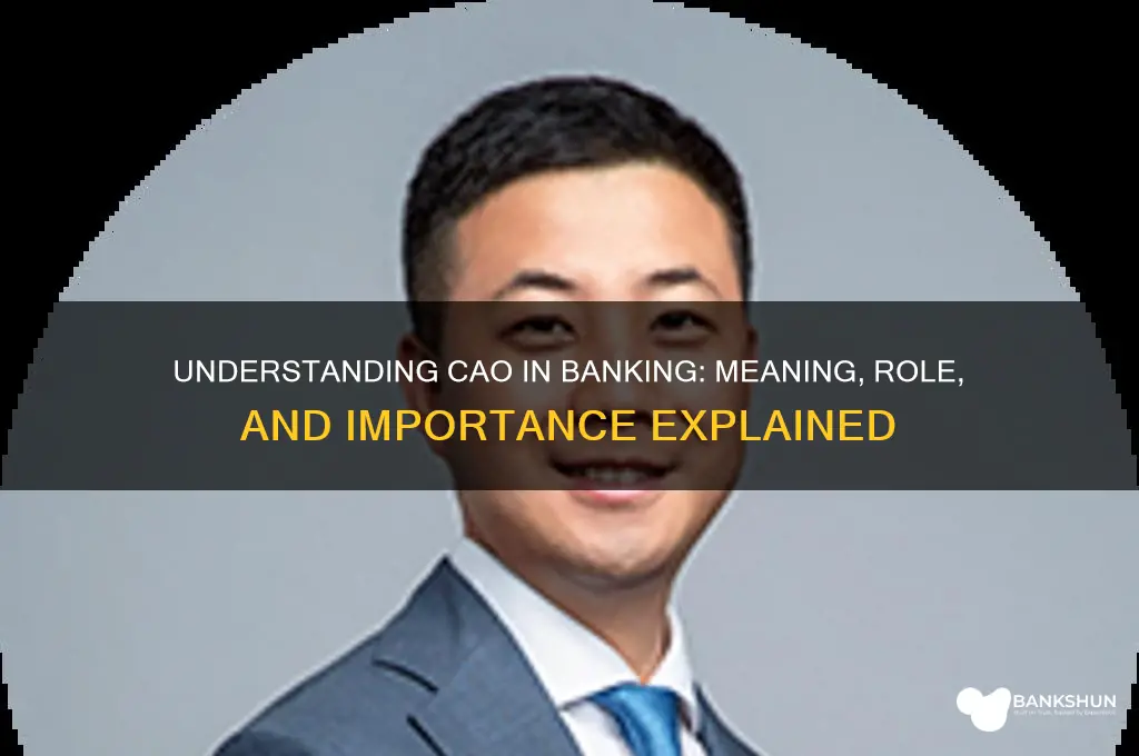 what does cao stand for in banking