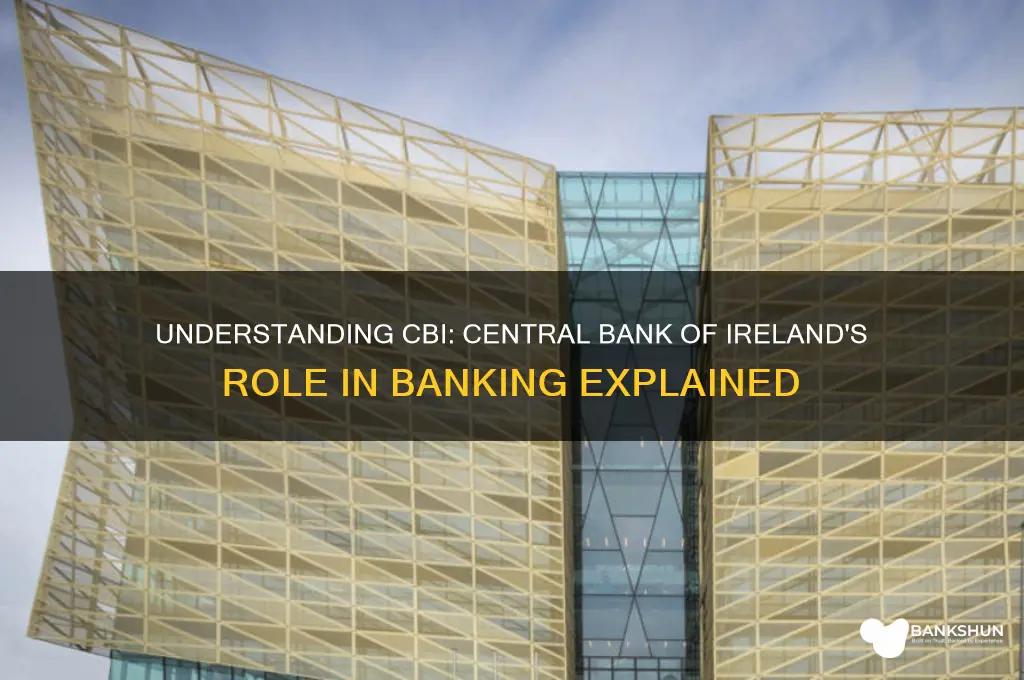 what does cbi stand for in banking