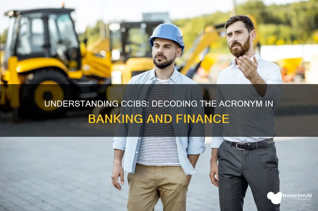 what does ccibs stand for in banking