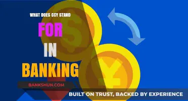 Decoding CCY in Banking: Understanding Currency Codes and Their Significance