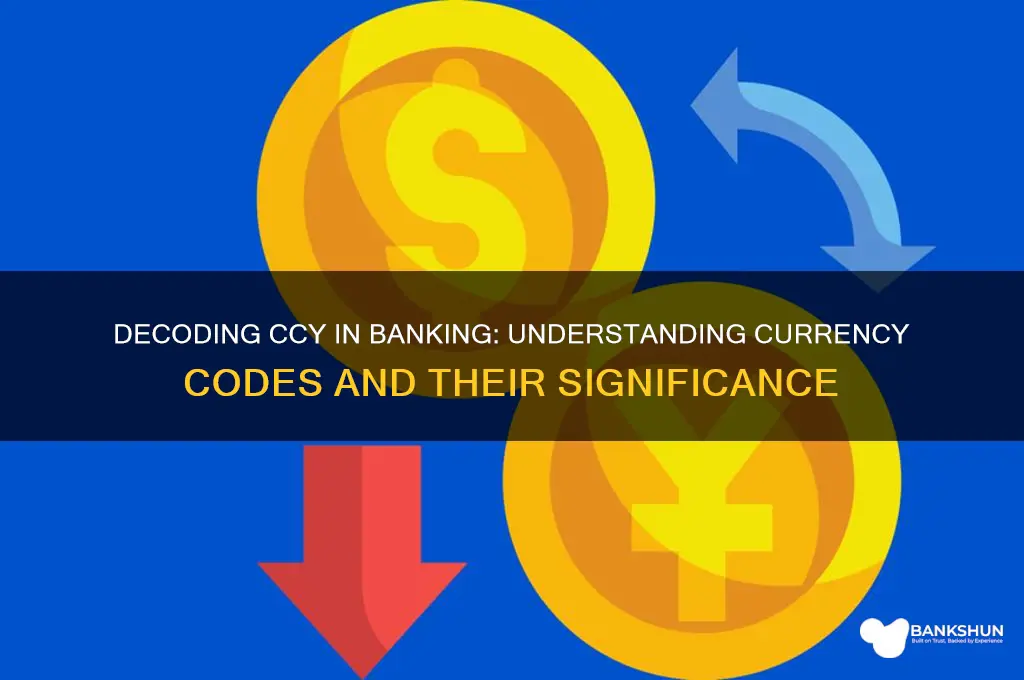 what does ccy stand for in banking