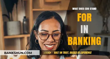 Understanding the Role of a CDO in Modern Banking Operations