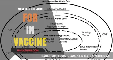 Understanding CDT: Decoding the Meaning in Vaccine Terminology Explained