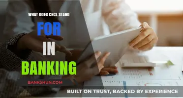 Understanding CECL: What It Means for Banking and Financial Institutions