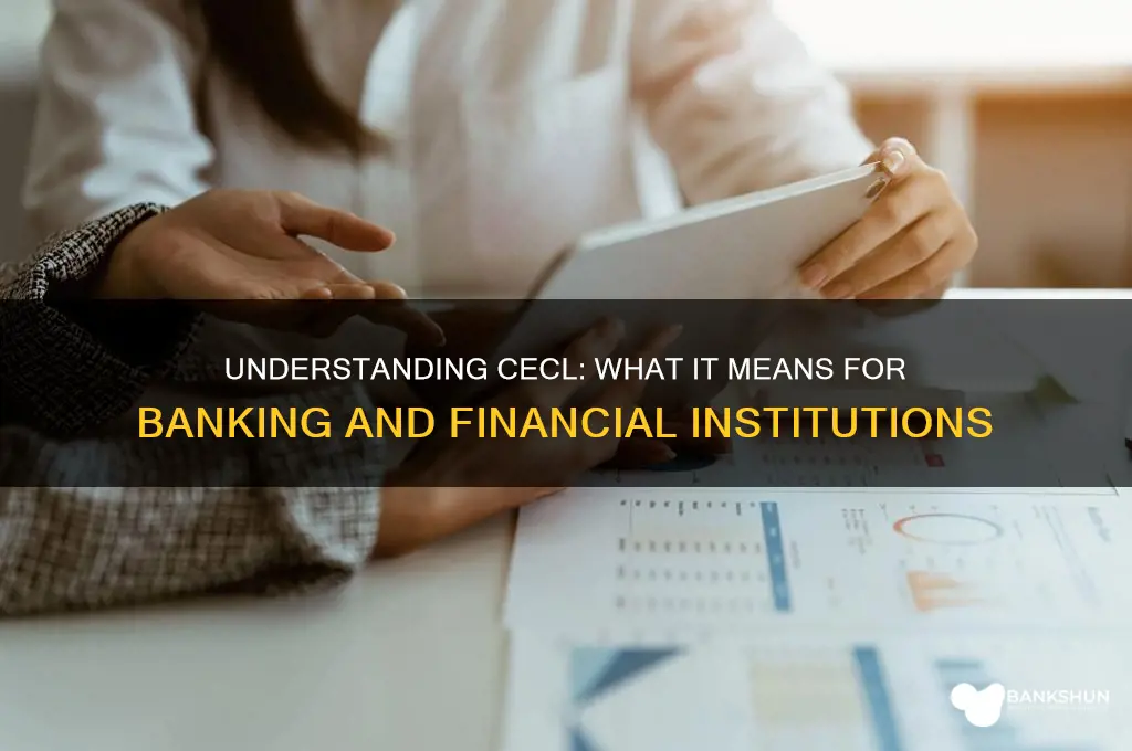 what does cecl stand for in banking