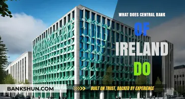 Understanding the Central Bank of Ireland's Role and Responsibilities