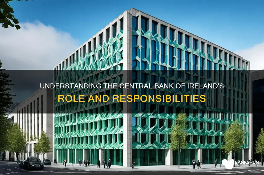 what does central bank of ireland do