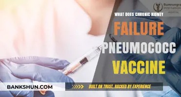 Chronic Kidney Failure: Importance of Pneumococcal Vaccination Explained