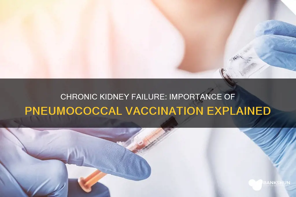 what does chronic kidney failure pneumococcal vaccine