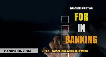 Understanding CIB: Decoding the Meaning in Banking and Finance