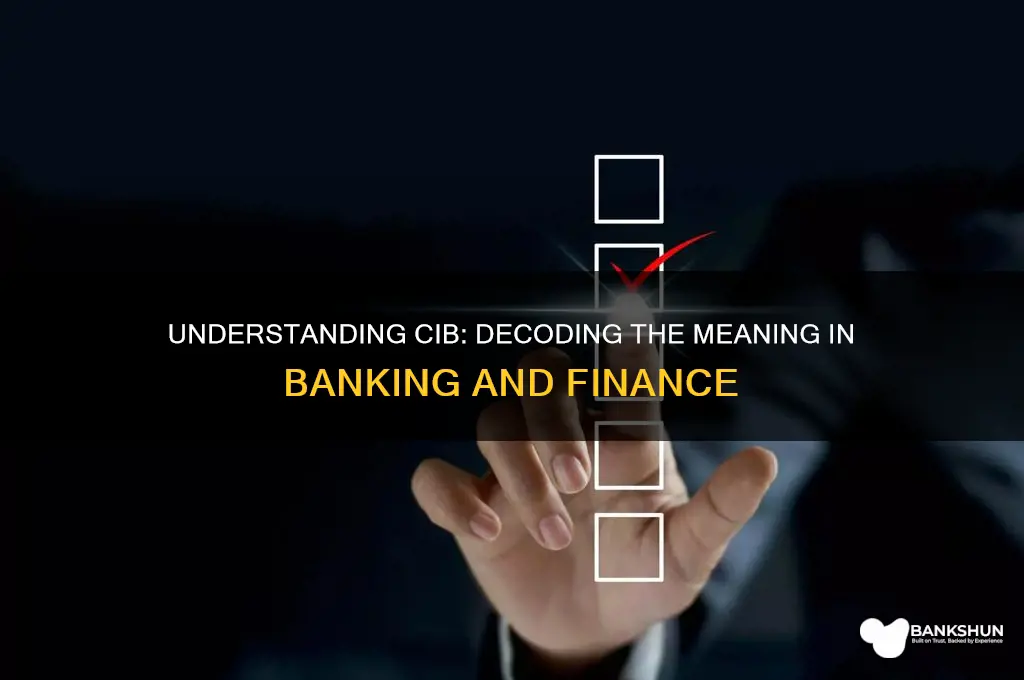 what does cib stand for in banking