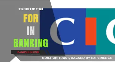 Understanding CIC in Banking: Meaning, Role, and Importance Explained
