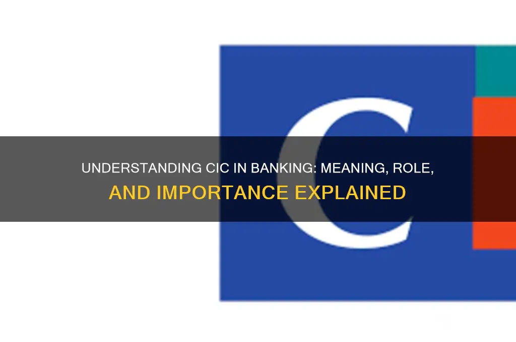 what does cic stand for in banking